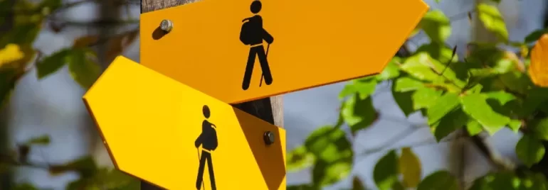 Two yellow hiking signs on a wooden post in a forest setting with green leaves.
