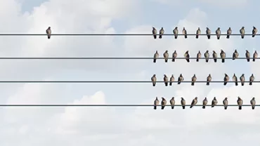 Birds perched on parallel wires against a cloudy sky.