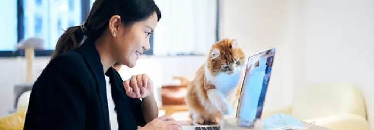 Smiling woman working on a laptop, with a curious cat pawing at the screen.